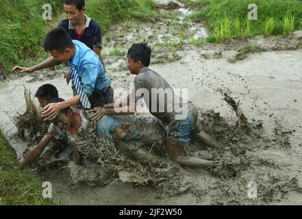 Kathmandu, Nepal. 29th giugno 2022. Gli studenti giocano nel fango mentre piantano campionamenti di riso sul campo durante il National Paddy Day, chiamato anche Asar Pandra, che segna l'inizio della coltivazione di riso piantando in risaie quando arriva la stagione monsonica, a Kathmandu, Nepal, 29 giugno 2022. (Credit Image: © Dipen Shrestha/ZUMA Press Wire) Foto Stock