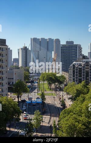 Vista verso lo skyline di Rotterdam con il ponte Erasmus e Kop van Zuid, Rotterdam, Paesi Bassi Foto Stock