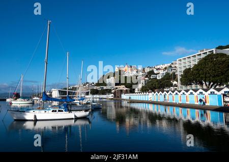 St Gerard's Monastery sulla collina sopra il porto delle barche, il Monte Victoria, Wellington, Isola del Nord, Nuova Zelanda Foto Stock