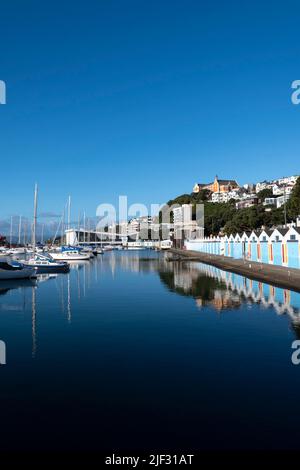 St Gerard's Monastery, Mount Victoria, Wellington, Isola del Nord, Nuova Zelanda Foto Stock