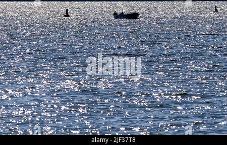 Schwerin, Germania. 29th giugno 2022. Un pescatore interno è fuori con la sua barca sul lago Schwerin la mattina, dirigendosi a svuotare le sue reti set e trappole di pesce. Nei laghi e nei dintorni della capitale dello stato di Mecklenburg-Vorpommern sono in corso diverse operazioni di pesca. Credit: Jens Büttner/dpa/Alamy Live News Foto Stock