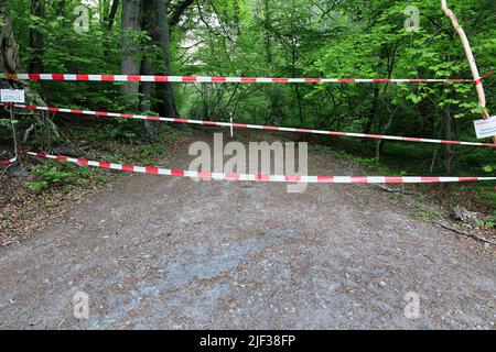 Rampicando un percorso forestale con nastro barriera, Germania, Renania settentrionale-Vestfalia Foto Stock