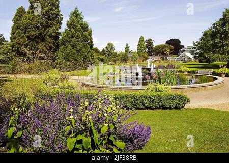 Cambridge University Botanic Garden, fontana in uno stagno, Regno Unito, Inghilterra, Cambridge Foto Stock