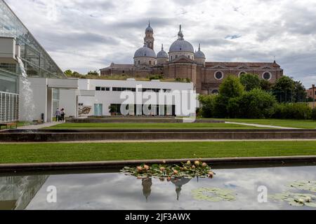 Padova, Italia - 06 10 2022: Il Giardino della biodiversità presso l'Orto Botanico di Padova in una giornata estiva. Foto Stock