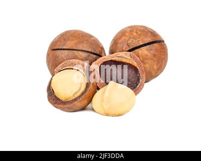 Deliziose noci di macadamia con noccioli su fondo bianco Foto Stock