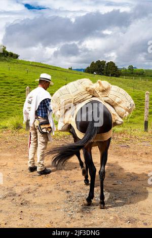 El Peñol, Antioquia - Colombia - 25 maggio 2022. Paisa muleteer, uomo conducente di muli, trasportatore di tipo di merci relative al campo Foto Stock