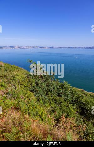 Europa, Regno Unito, Inghilterra, Devon, Brixham, Viste di Torbay dalle scogliere vicino a Berry Head Foto Stock