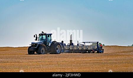 EMPORIA, KANSAS - 28 GIUGNO 2022 Farmer che guida il suo trattore con seminatrice automatica dietro le unità avanti e indietro sopra campo di grano recentemente raccolto piantando semi per una raccolta invernale di grano rosso Foto Stock