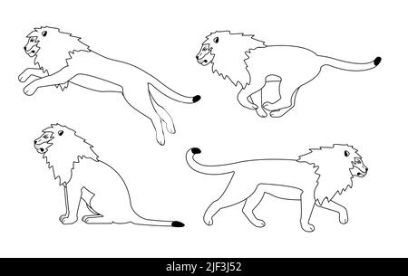 Set vettoriale di leoni a profilo piatto isolati su sfondo bianco Illustrazione Vettoriale