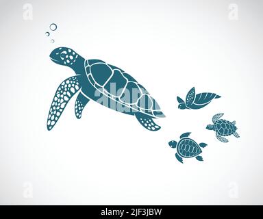 Vettore di tartarughe design di famiglia su sfondo bianco. Illustrazione vettoriale a livelli facilmente modificabile. Animali sottomarini. Illustrazione Vettoriale