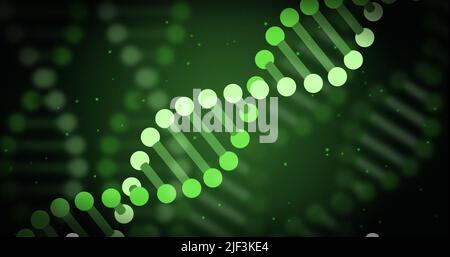 Immagine del filamento di dna e dell'elaborazione dei dati su sfondo verde Foto Stock