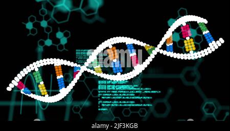 Immagine del filamento di dna e dell'elaborazione dei dati su sfondo nero Foto Stock