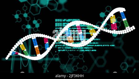 Immagine del filamento di dna e dell'elaborazione dei dati su sfondo nero Foto Stock