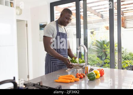 Uomo africano americano medio adulto che indossa grembiule pulizia verdure in lavandino mentre in piedi in cucina Foto Stock