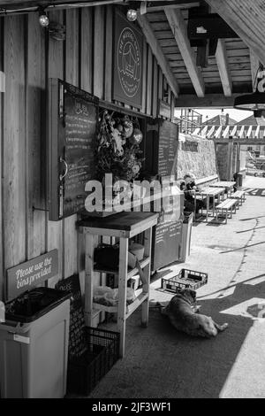 Scene nel porto di Porthleven e dintorni, Cornovaglia Foto Stock