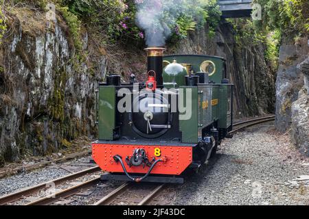 Un motore a vapore alla stazione del Ponte del Diavolo sulla vale della ferrovia di Rheidol, vicino ad Aberystwyth, Ceredigion, Galles Foto Stock