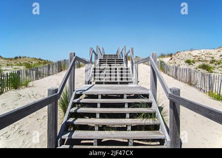 Traversata di legno / passaggio sulle dune alla spiaggia nella riserva naturale De IJzermonding, Nieuwpoort / Nieuport, Fiandre Occidentali, Belgio Foto Stock