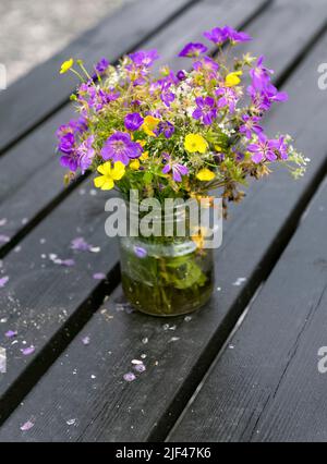 Fiori selvatici in vaso su panca di legno, Olden Norvegia Foto Stock