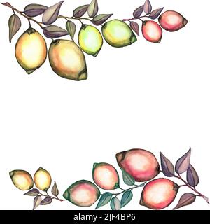 Cornice disegnata a mano di ramo acquerello di Lemon.Can essere usato come biglietto di auguri per sfondo,inviti Foto Stock