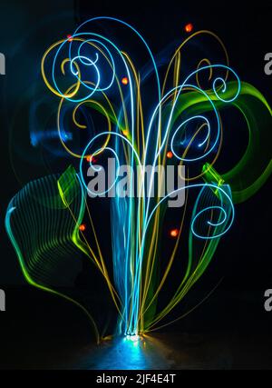 Illuminazione notturna. Fiori e piante creati con la luce. Arte astratta Foto Stock