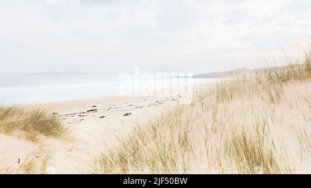 Erbe su Sgarasta Mohr, Harris, Ebridi esterne, Scozia Foto Stock