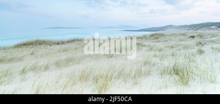 Erbe su Sgarasta Mohr, Harris, Ebridi esterne, Scozia Foto Stock