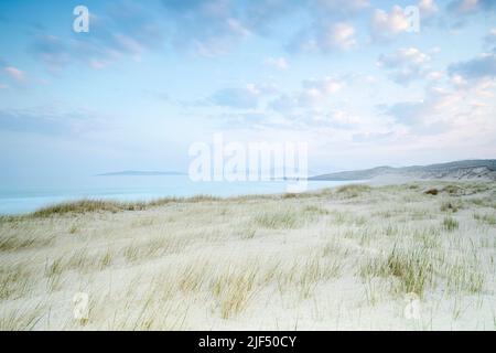 Erbe su Sgarasta Mohr, Harris, Ebridi esterne, Scozia Foto Stock