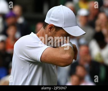 Londra, GBR. 29th giugno 2022. London Wimbledon Championships Day 3 29/06/2022 Andy Murray (GBR) seconda partita al Centre Court Credit: Roger Parker/Alamy Live News Foto Stock