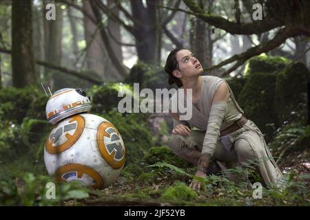 DROID, RIDLEY, STAR WARS: EPISODIO VII - LA FORZA SI RISVEGLIA, 2015 Foto Stock