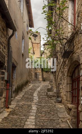 Edifici storici nel comune di Sainte-Enimie, Gorges du Tarn Causses, Occitania, Francia Foto Stock