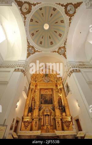 Vista interna con altare e cupola della chiesa Iglesia de San Francisco Javier a Caceres, Estremadura, Spagna Foto Stock