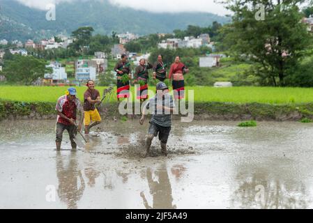 La gente gioca in acqua di fango in un campo di risaie durante la festa nazionale della risaia. Gli agricoltori nepalesi festeggiano il National Paddy Day con vari eventi che segnano l'inizio della stagione annuale di semina del riso. Foto Stock