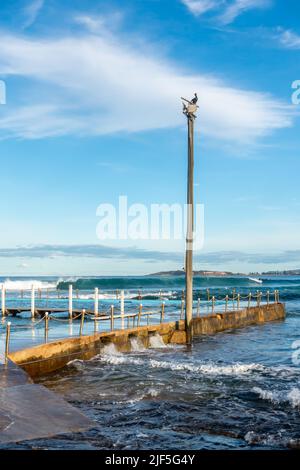 Torre faro presso la piscina Nth Narrabeen oceano. Foto Stock