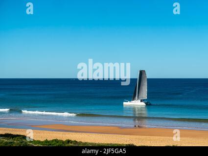 Catamarano in barca a vela vicino alla riva a Narrabeen Beach Foto Stock