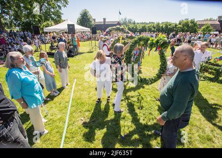 La gente si prepara a decorare il palo di Midsummer in Malmkoping, Svezia Foto Stock