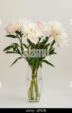 Bouquet di peonie bianche in vaso di vetro su sfondo bianco, fiori recisi, decorazione, regalo Foto Stock