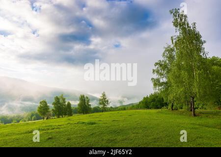 campagna montagnosa all'alba nebbia. paesaggio naturale meraviglioso in primavera con alberi decidui su colline erbose. nebbia sopra le colline ondulate e va Foto Stock