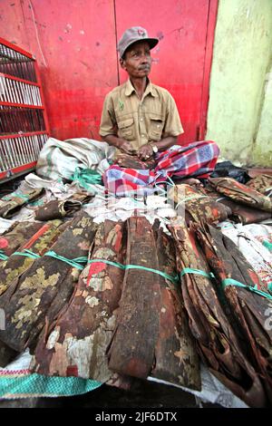 Un uomo che vende barrette di cannella cruda al mercato di Bolu, un mercato tradizionale a Rantepao, Toraja Nord, Sulawesi Sud, Indonesia. Foto Stock