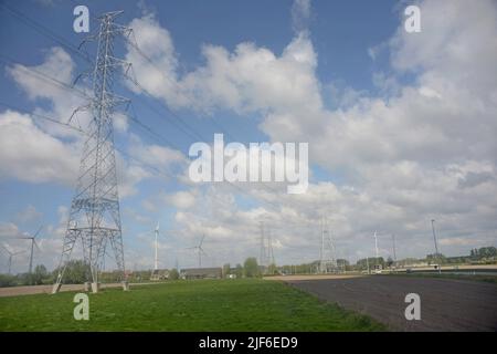 Plylon di rete elettrica con pannelli solari per l'alimentazione di apparecchiature di monitoraggio, Fiandre, Belgio Foto Stock