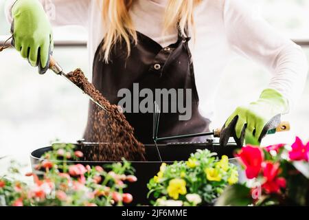 Crop anonimo giardiniere femminile in guanti protettivi versando terreno fertile con vanga in pentola mentre si prepara per trapiantare fiori in stanza di luce A. Foto Stock