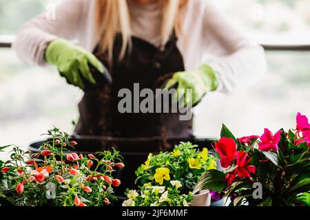 Crop anonimo giardiniere femminile in guanti protettivi versando terreno fertile con vanga in pentola mentre si prepara per trapiantare fiori in stanza di luce A. Foto Stock