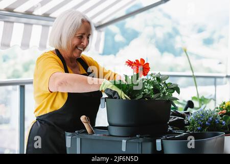 Positivo medio età giardiniere femmina in grembiule sorridente mentre lavora in serra Foto Stock