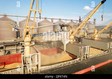 Carico di grano in stive di nave da carico via mare attraverso una linea automatica in porto marittimo da sili di deposito di grano. Bunkering di nave di carico asciutta con grano Foto Stock