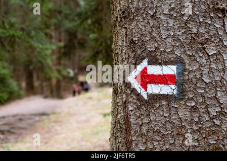 Freccia rossa - cartello sentiero dipinto su corteccia di albero nella foresta per turisti ed escursionisti. Sentiero che si snoda su un sentiero turistico in montagna Foto Stock