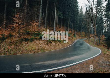 Strada panoramica tortuosa di montagna dopo la pioggia attraverso la foresta. Strada asfaltata vuota e umida con colline boschive. Paesaggio stradale cinematografico Foto Stock