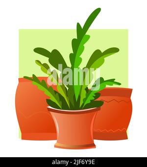 Piante e fiori interni. In pentole di ceramica. Belle erbe fatte in casa. Isolato su sfondo bianco. Vita morta. Stile divertente Cartoon. Vettore. Illustrazione Vettoriale