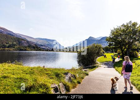 Llanberis nel Parco Nazionale di Snowdonia, sponda settentrionale di Llyn Padarn nel Galles del nord nel Parco Nazionale di Snowdonia, Llyn Padarn, lago, Llanberis Foto Stock