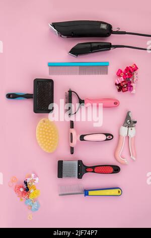 Strumento per il groomer su sfondo rosa. Accessori per la cura del cane. Pettini e spazzole per animali. Vista dall'alto Foto Stock