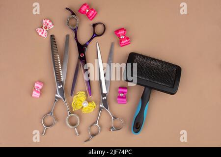 Strumento per il groomer su sfondo beige. Accessori per la cura del cane. Pettini e spazzole per animali. Vista dall'alto Foto Stock