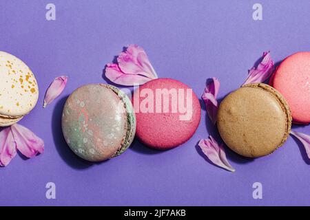 Macaron con petali di fiore di peonie su sfondo molto peri colore. Dolce dessert, colori pastello e colorati caramelle, concetto estivo. Stile romantico, fe Foto Stock